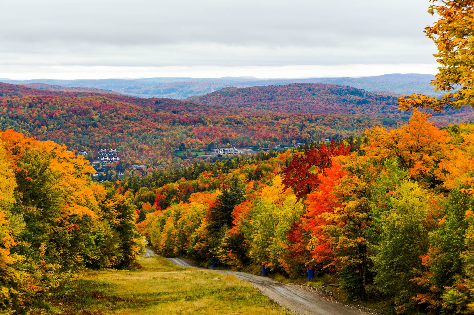 Fall foliage