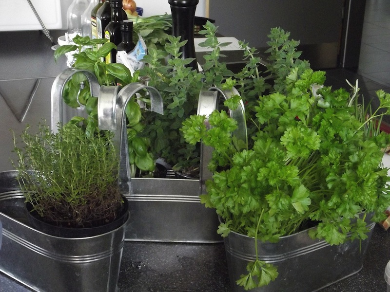 Growing Herbs Indoors The Old Farmer, How To Make A Herb Garden Indoors