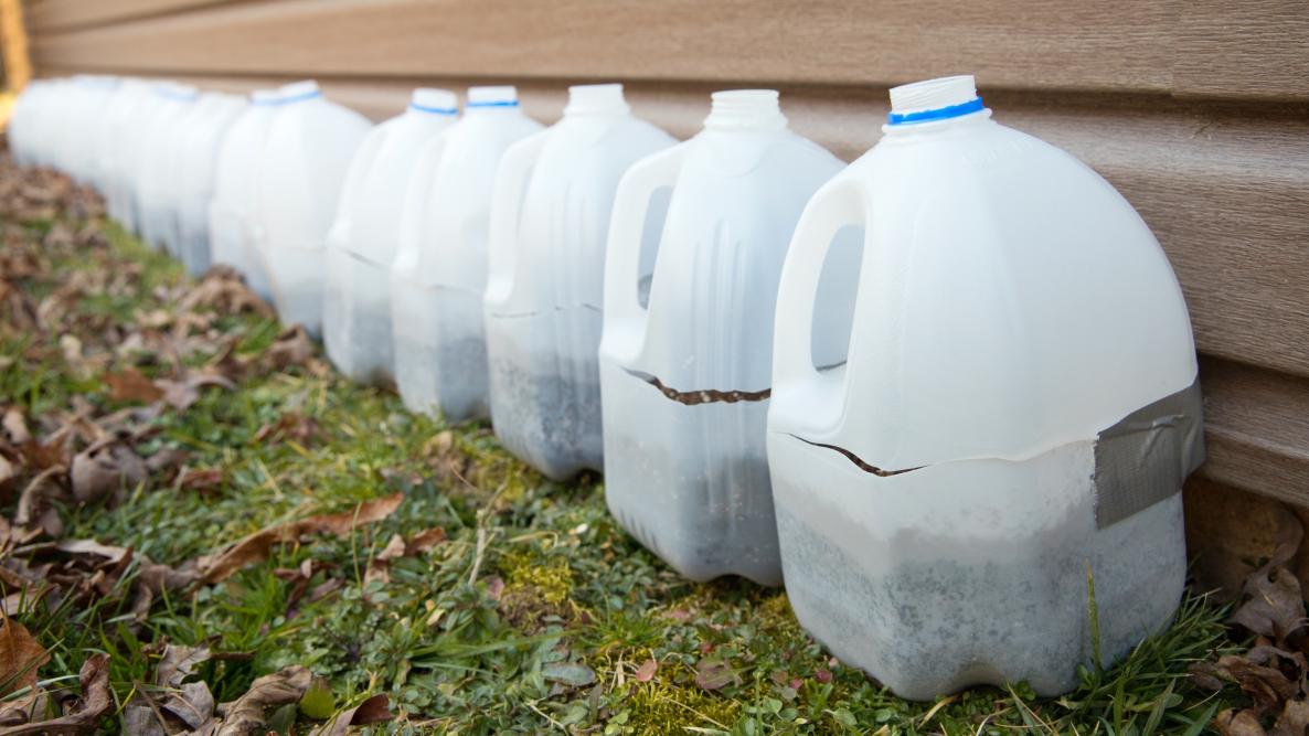 winter sowing in milk jugs