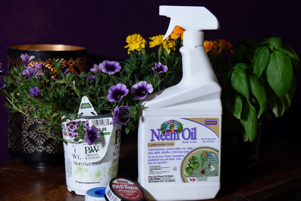 neem oil spray in a white bottle with purple pansies and gold marigolds