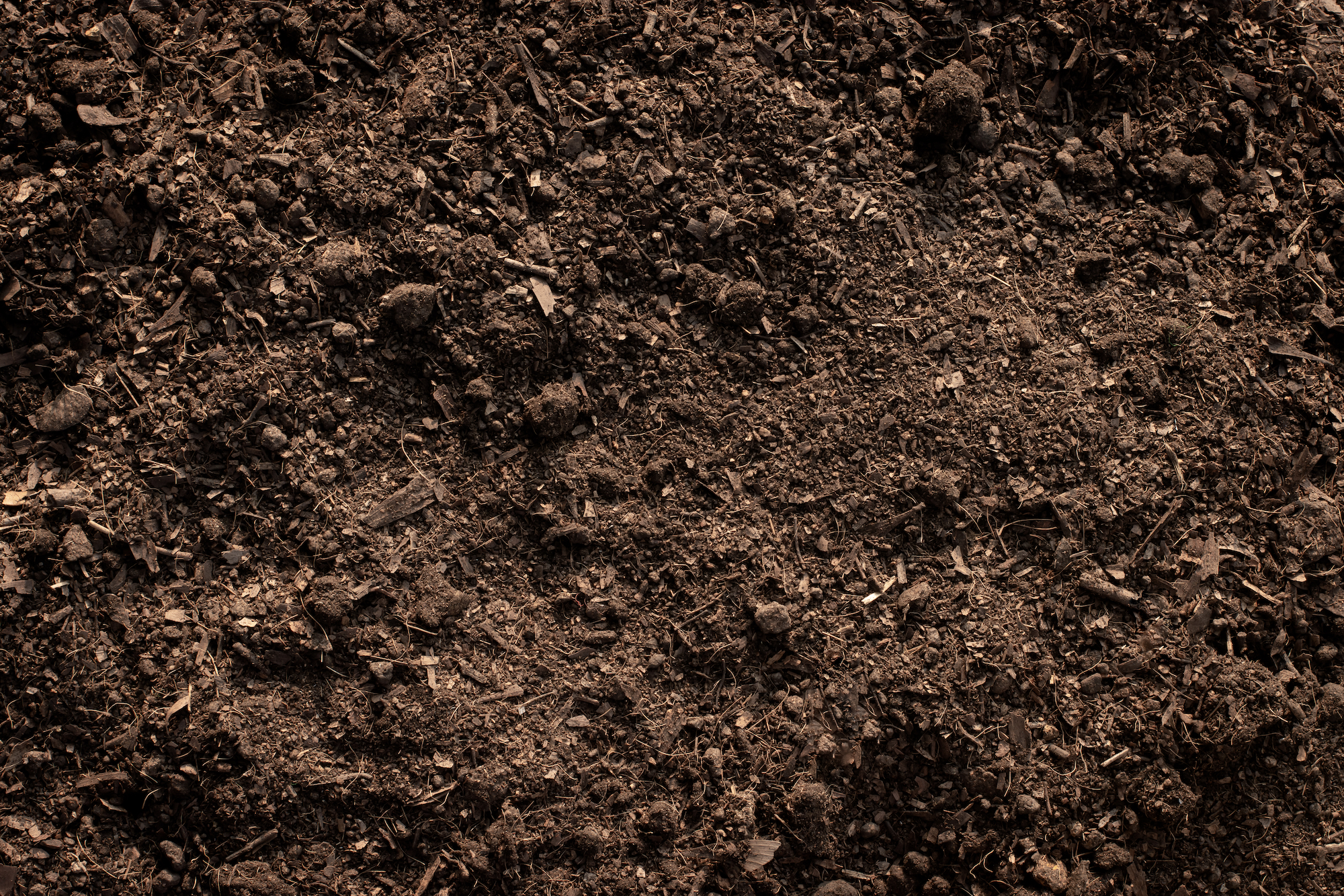 Loam soil, ideal for planting