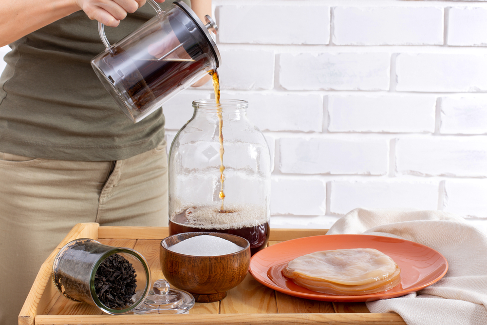 Girl pouring a brew of sweetened black tea into a sterilised glass jar ready to add the scoby while making homemade kombucha. Light bricked background. Healthy fermented beverage. Step by step