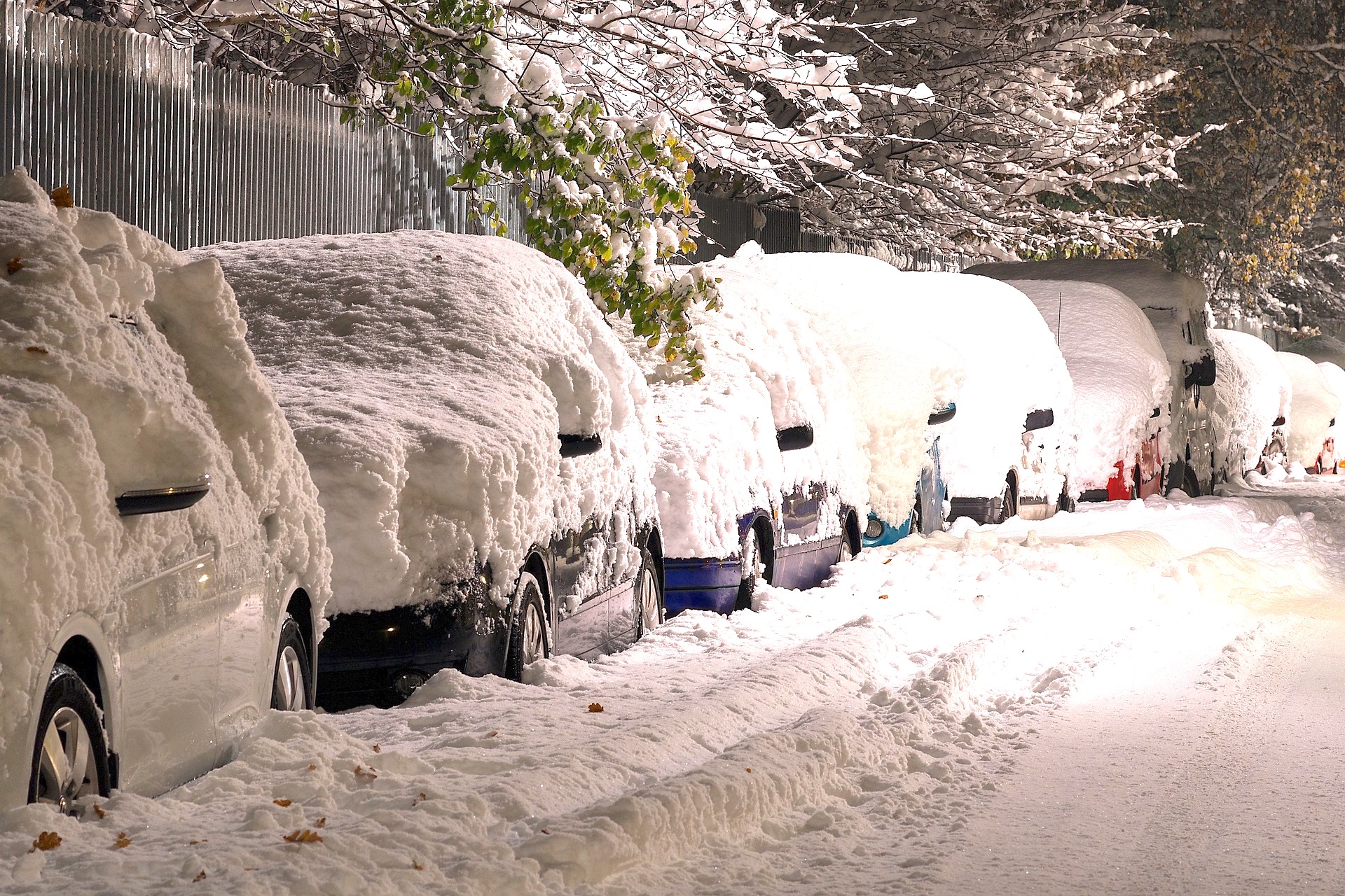 cars coverd by snow in Erie, Pennsylvania