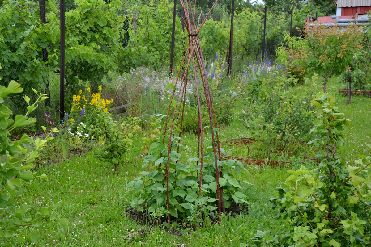 6 imaginative ways to use grow bags in small spaces