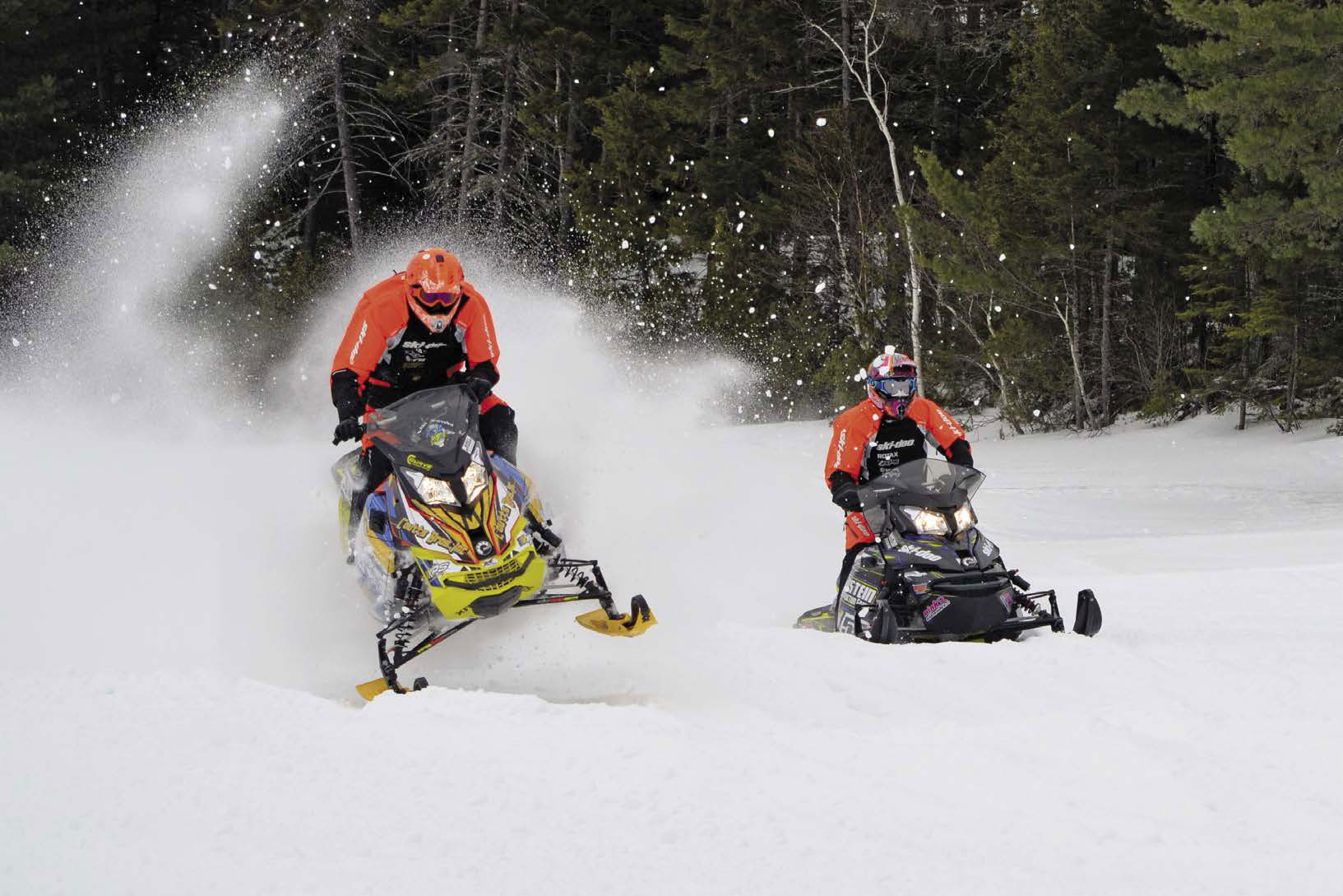 Snowless Snowmobiles