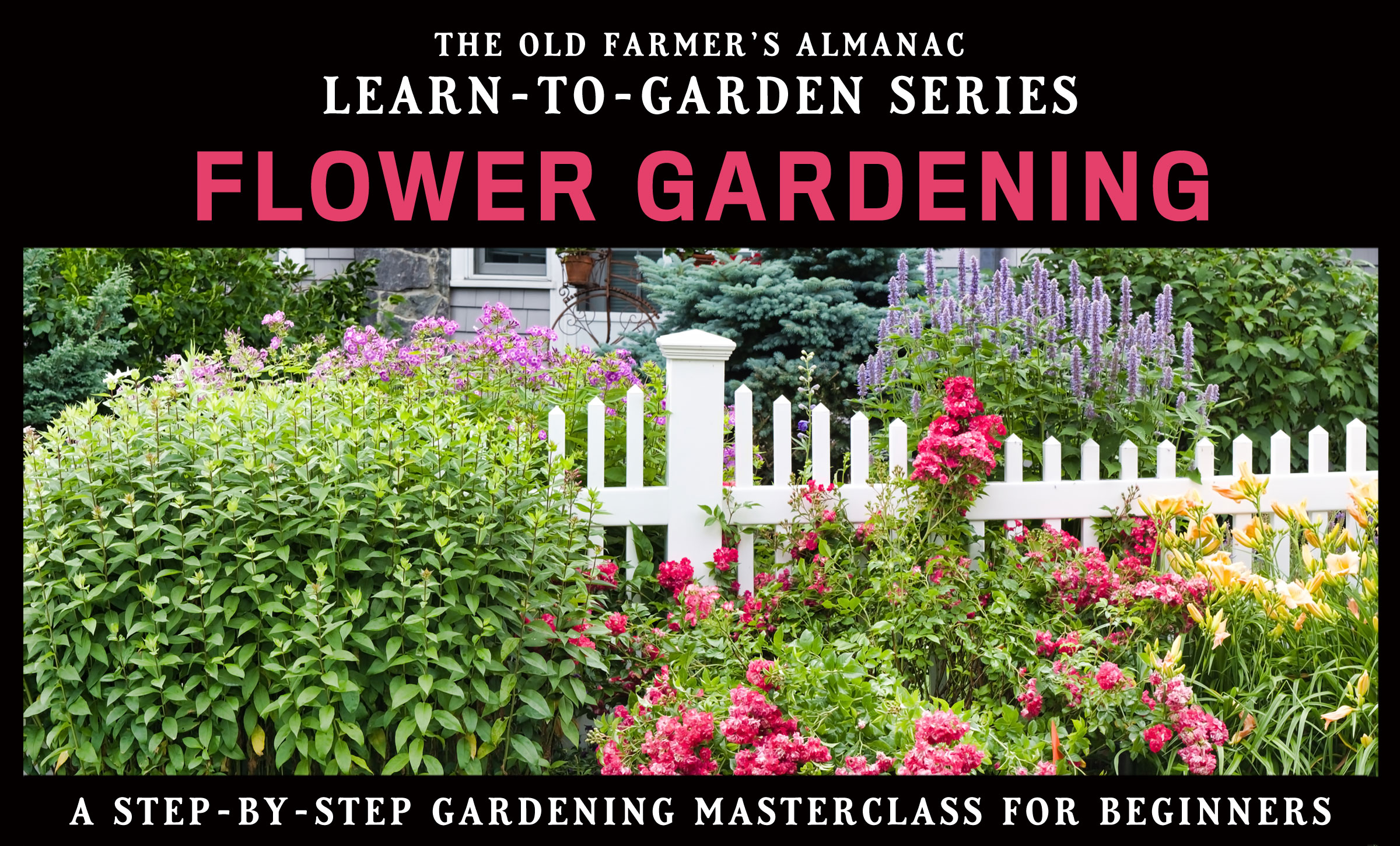 How To Start a Flower Garden 