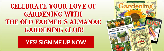 Almanac Gardening Club