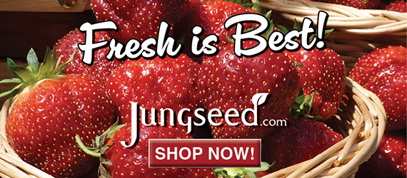Jung Seed