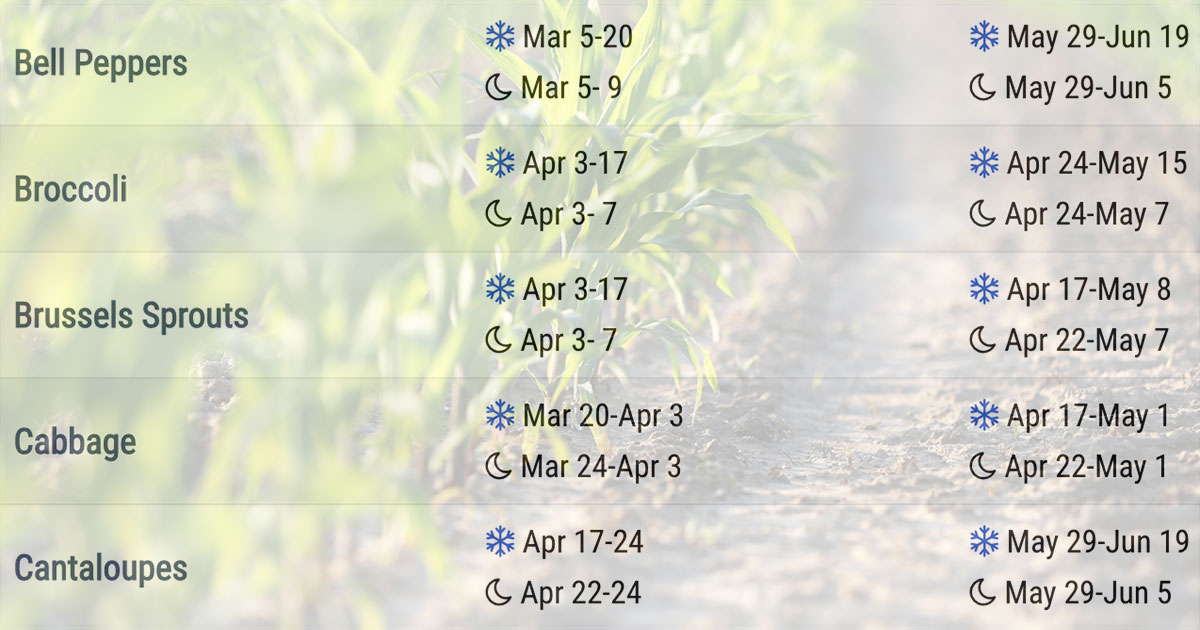 Planting Calendar When to Plant Vegetables The Old Farmer's Almanac