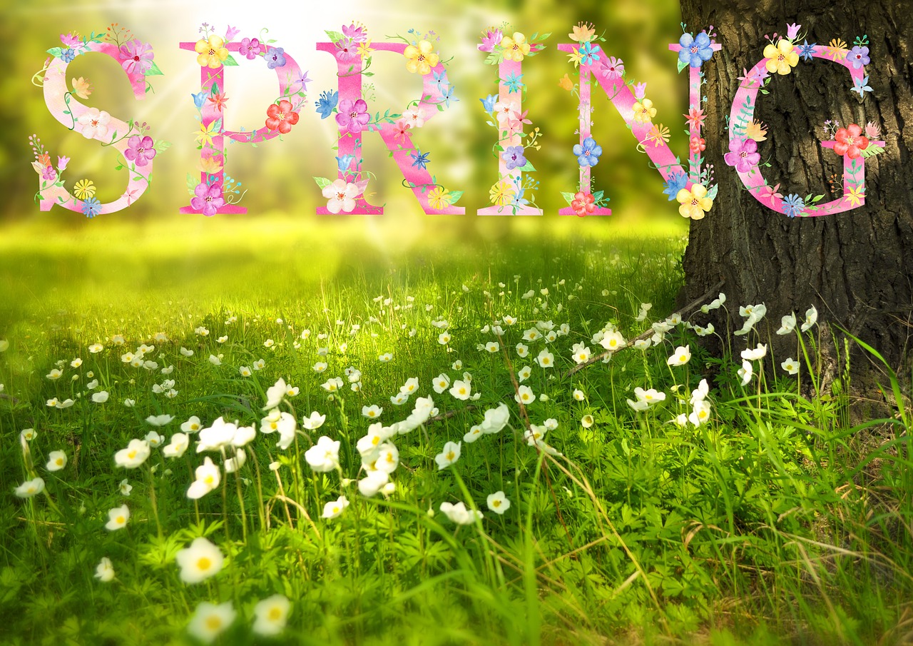 First Day Of Spring 21 Celebrate The Spring Equinox The Old Farmer S Almanac