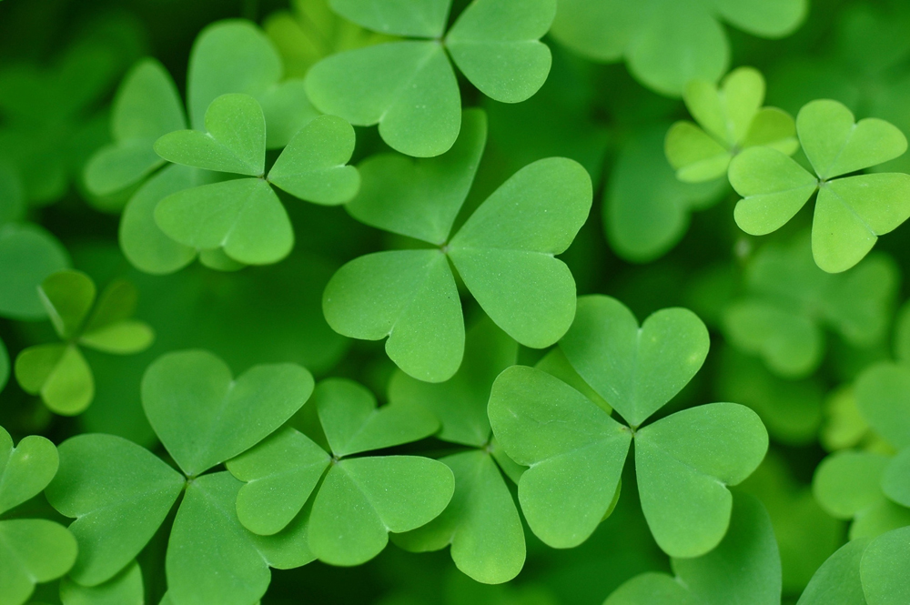 St Patrick S Day 21 History Folklore Recipes And More The Old Farmer S Almanac