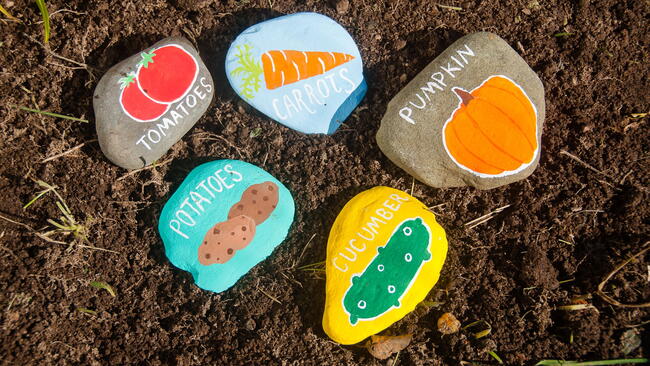 How to Make Simple DIY Plant Markers for Your Garden Beds Feature Image