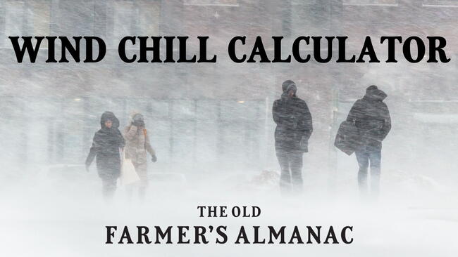 Wind Chill Calculator Feature Image