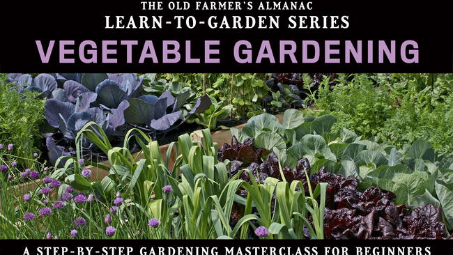 learn to garden series, vegetable gardening