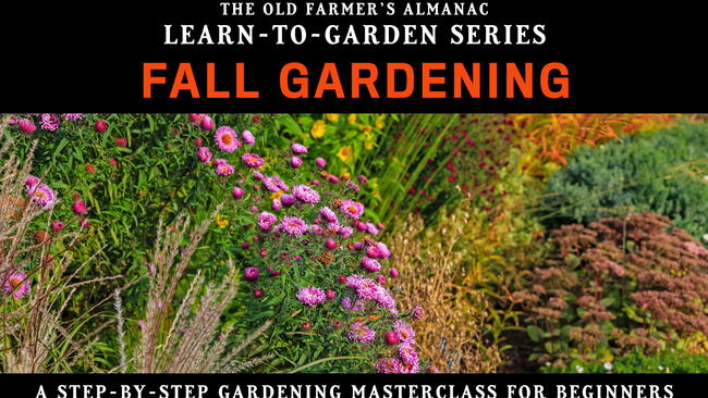 Learn-to-Garden Series Fall Gardening image with flowers
