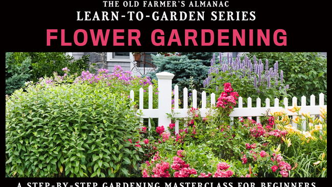 Learn how to flower garden