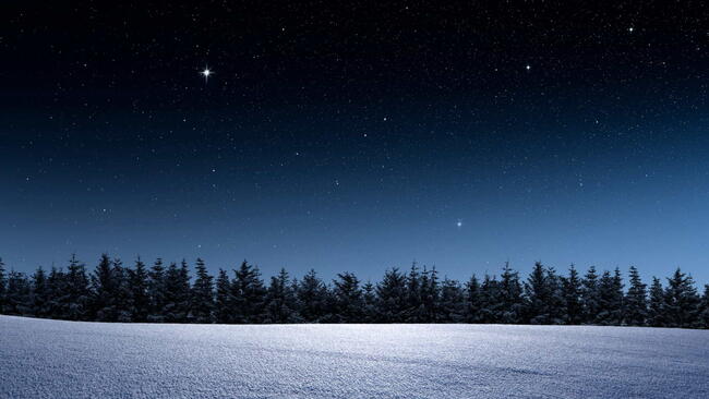 Winter landscape with fir forest and starry sky
