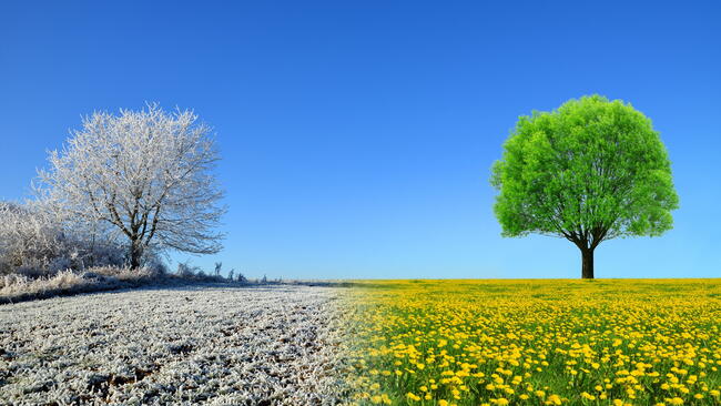 Winter into Spring