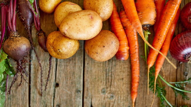 root vegetables (beets, potatoes, carrots, and onions), ready for storage