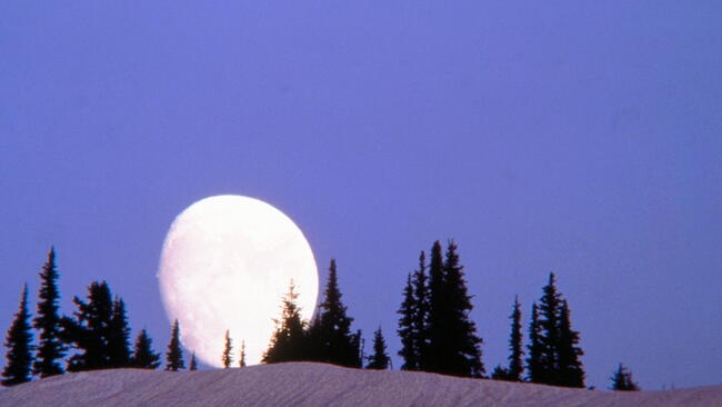 nearly full moon rising over the horizon in the winter