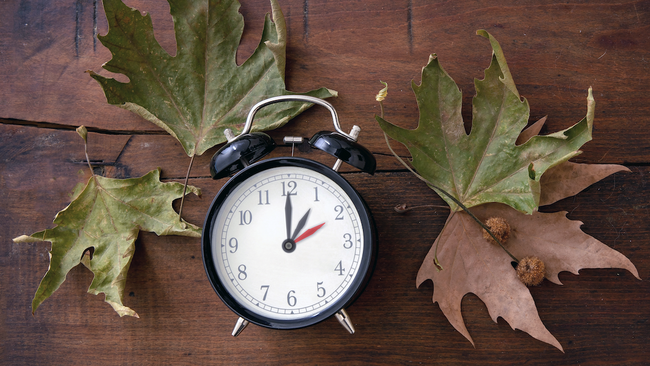 alarm clock on a table with fallen leaves surrounding it 