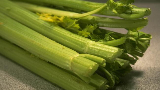 fresh cut Celery Stalks