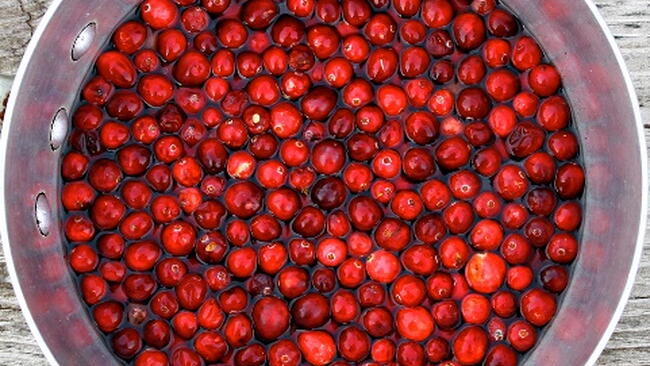 cranberries in a bowl with water