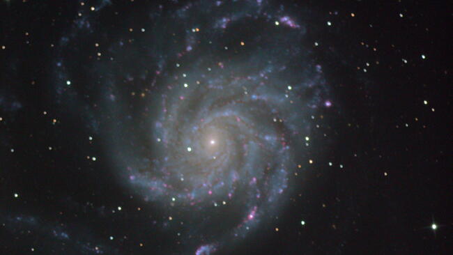 The Pinwheel Galaxy by David Rankin