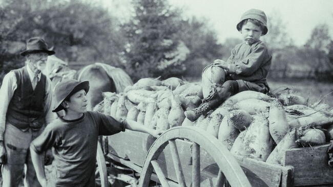 vintage photo of children on a wagon