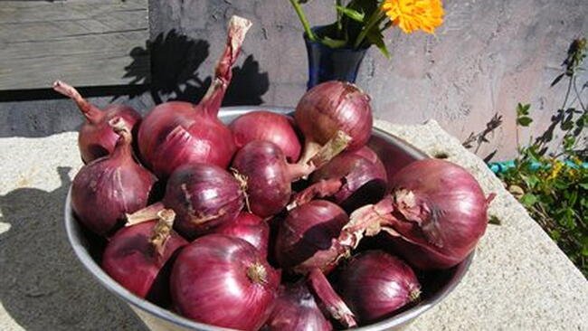 red onions in a bowl