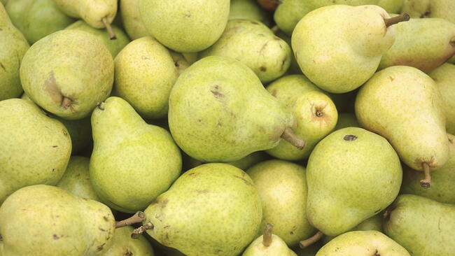 a pile of green pear fruits