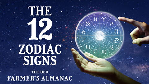 Zodiac wheel showing 12 signs against space