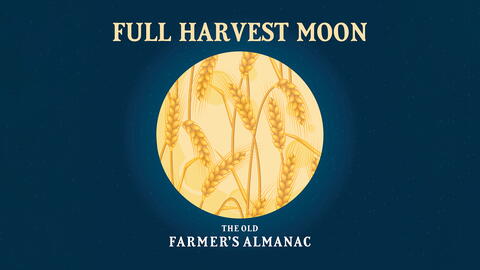 Full Harvest Moon September Full Moon OFA