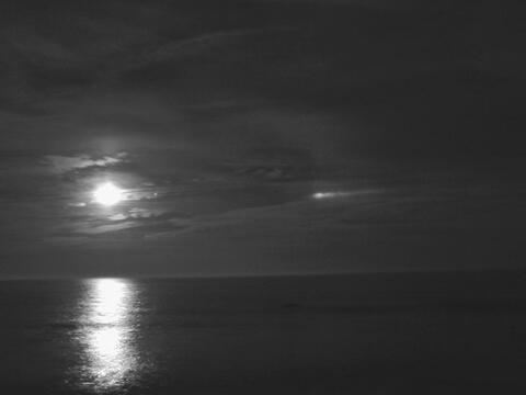 NewMoonDog.jpg?itok=pzUkCERz