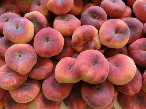 a pile of fresh peaches