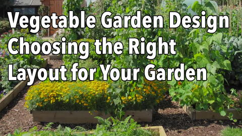 Embedded thumbnail for How to Lay Out a Vegetable Garden