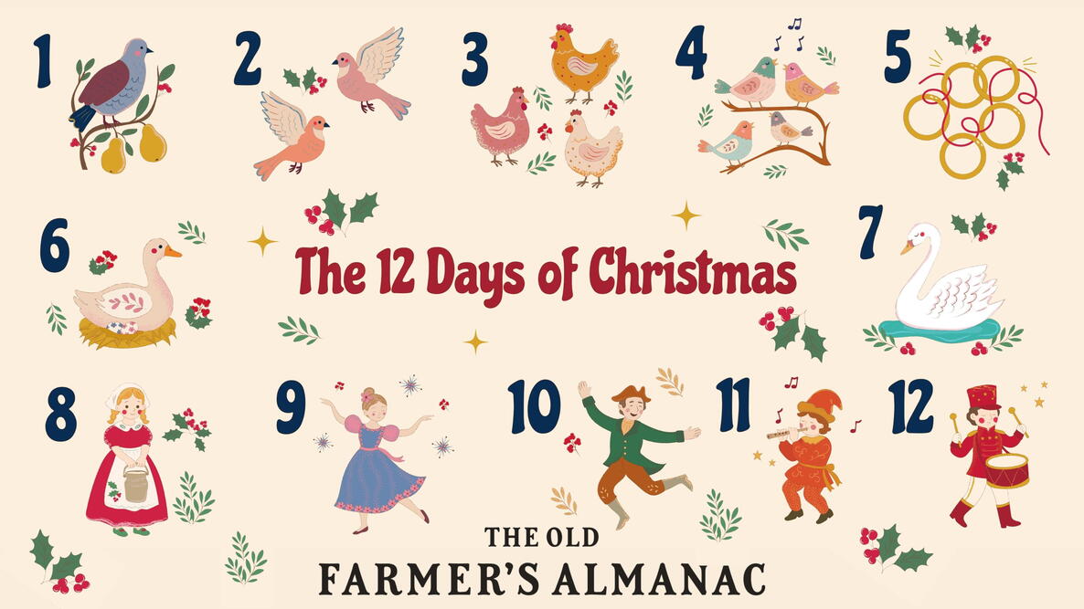 the 12 days of christmas, with the gift for each day illustrated and numbered