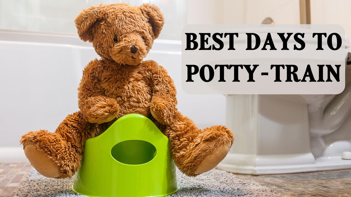 Best days to Potty-train, bear sitting on the practice toilet in the bathroom