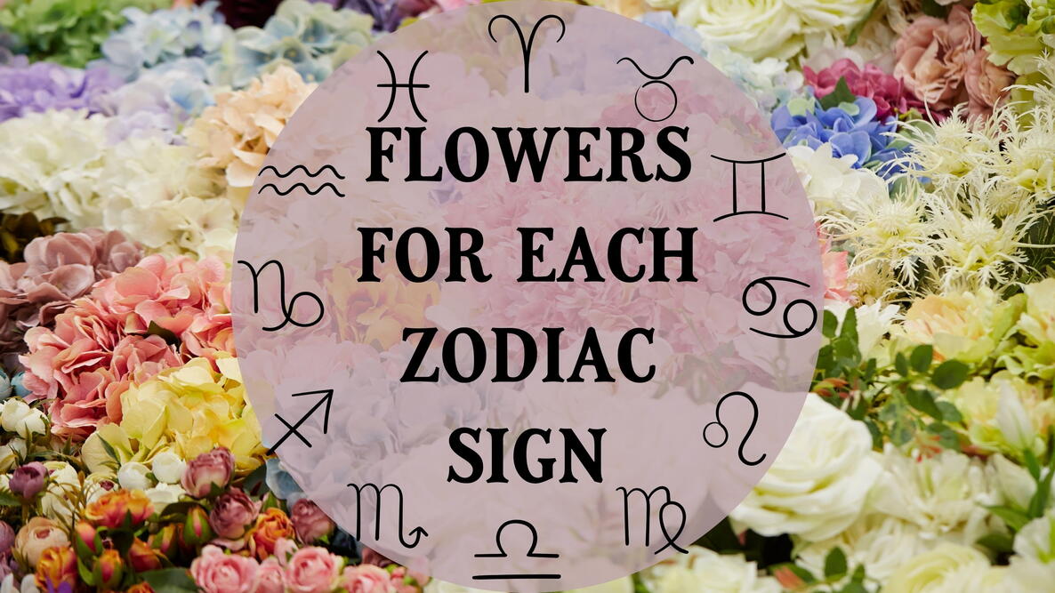 The best flowers for your zodiac sign, bunches of bright flowers