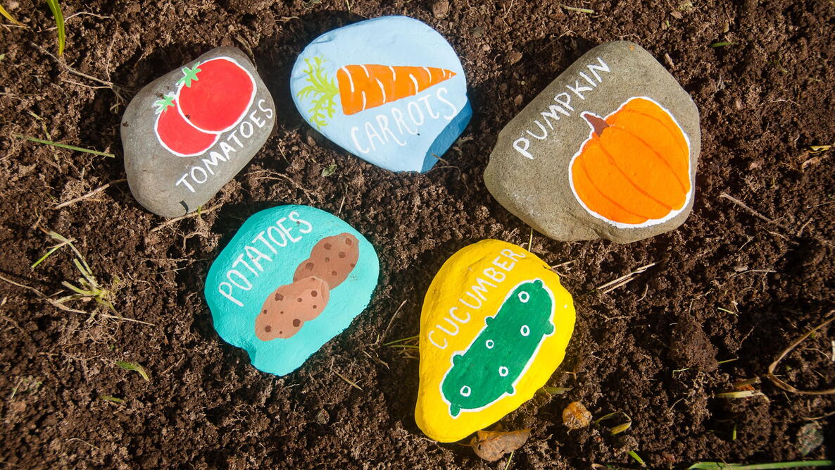 How to Make Simple DIY Plant Markers for Your Garden Beds Feature Image