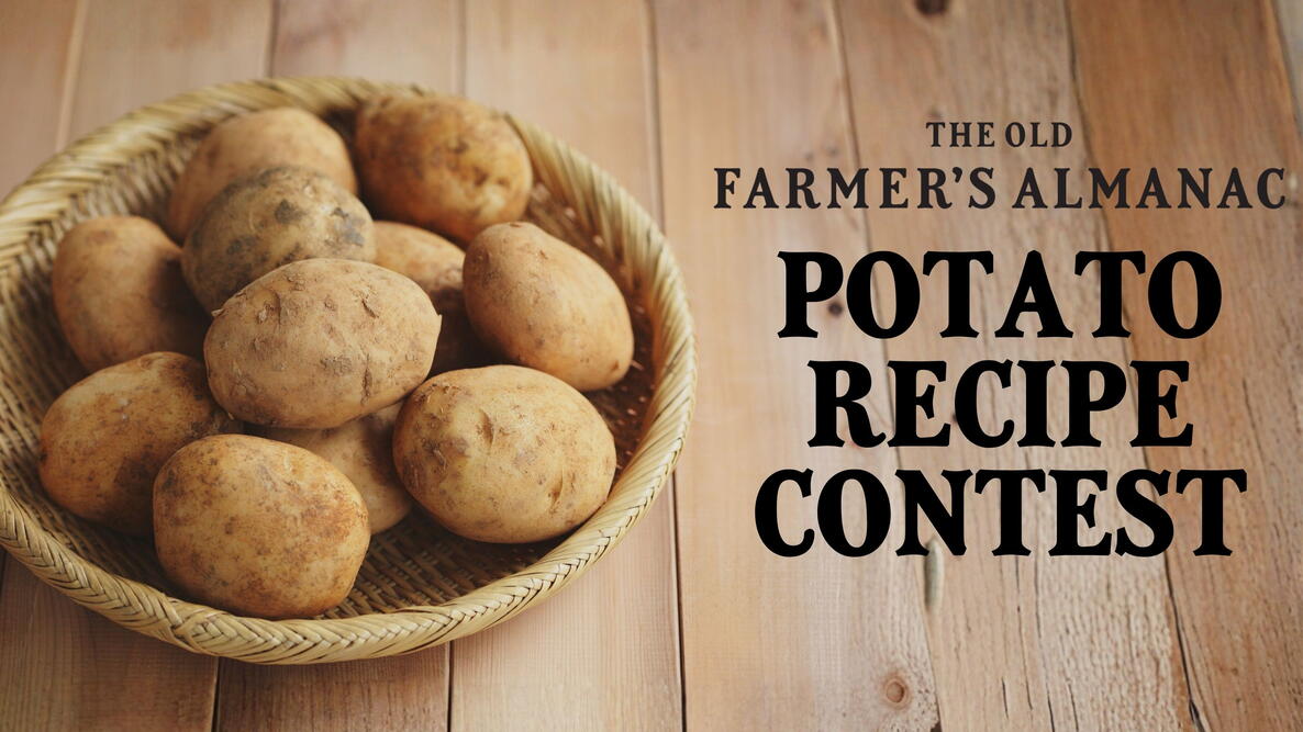 Potato Recipe Contest