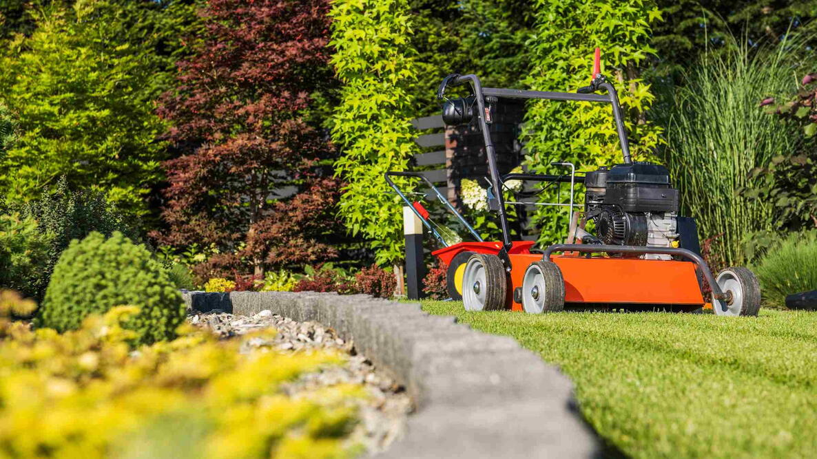 Lawn Aerating Using Gasoline Powered Aerator Machine. 