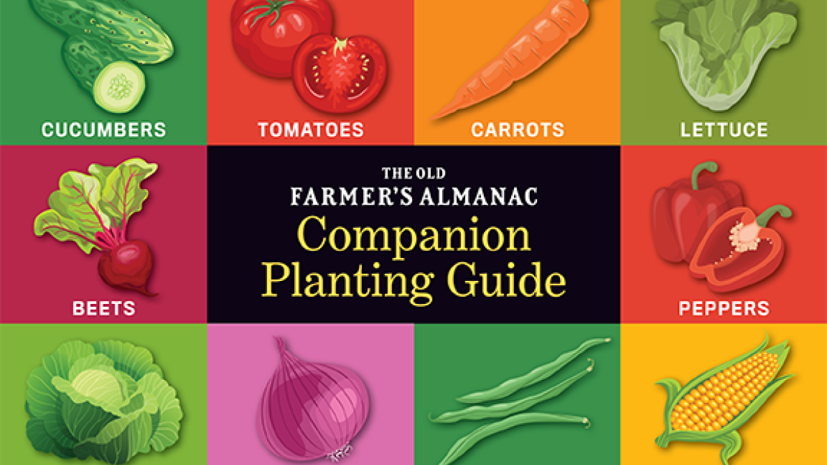 Image of Farmers almanac companion planting chart image 1