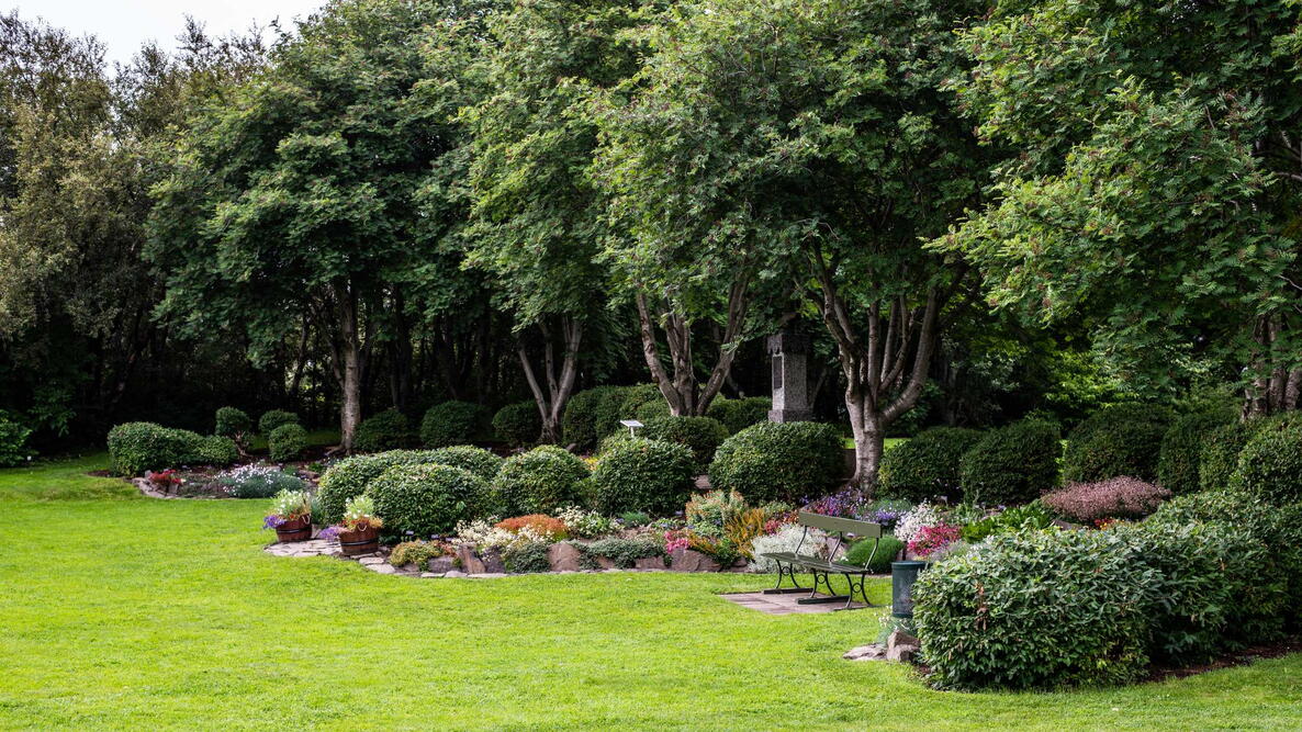 Planting Trees to Landscape Your Yard Almanac