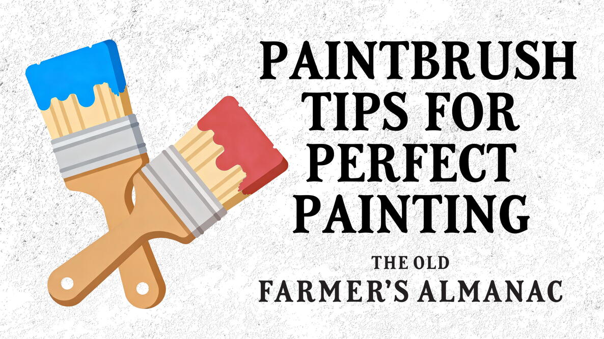 two wooden paintbrushes, paintbrush tips