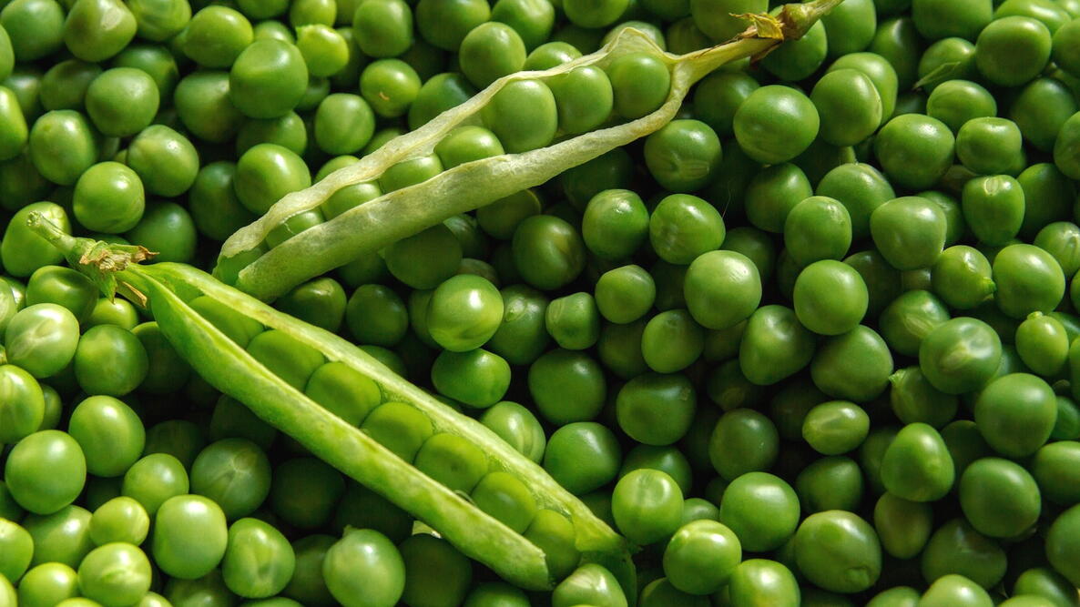 Image of Pea vegetable to grow in late summer