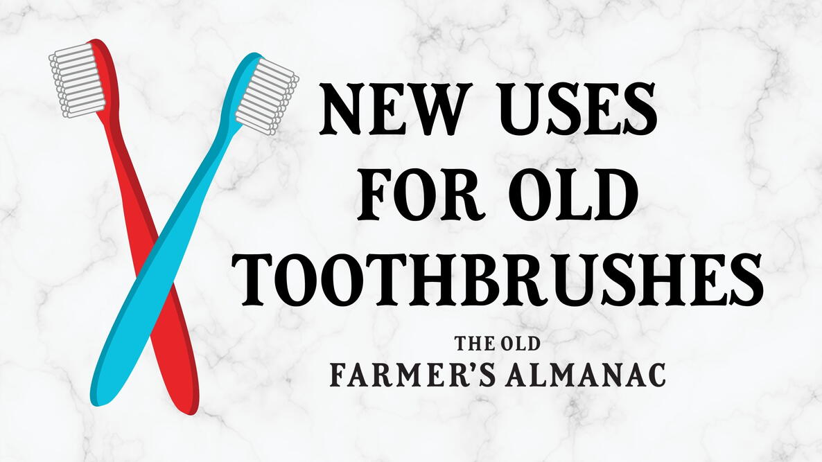 new uses for old toothbrushes, illustration of red toothbrush and blue toothbrush on a tile background