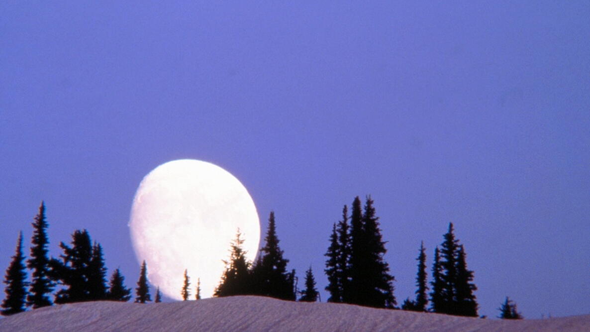 nearly full moon rising over the horizon in the winter