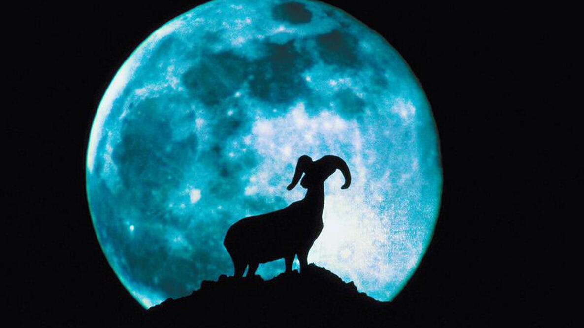 Full Moon with Ram shadow in front of it