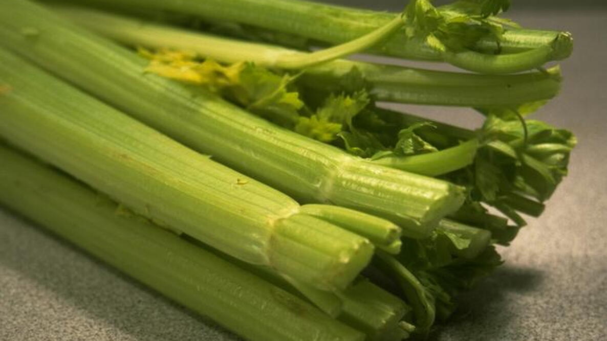 fresh cut Celery Stalks